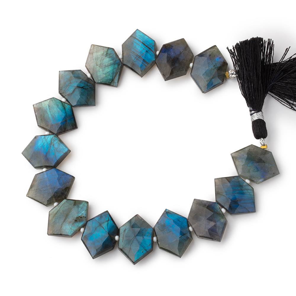 20x13mm Labradorite Faceted Elongated Hexagon Beads 8 inch 14 pieces - Beadsofcambay.com