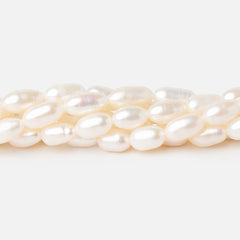 Oval Straight Drilled Freshwater Pearls