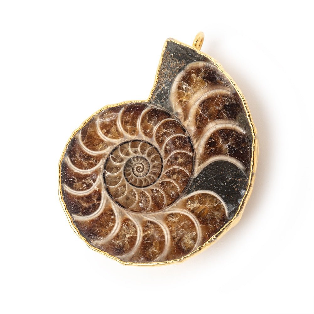 38x31mm Gold Leafed Ammonite Fossil Pendant 1 focal piece - Beadsofcambay.com