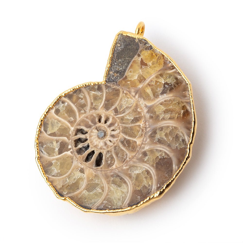 39.5x33mm Gold Leafed Ammonite Fossil Pendant 1 piece - Beadsofcambay.com